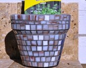 Herb Garden Kit Gift With Mosaic Pot Blue & White, Lemon Basil Seeds