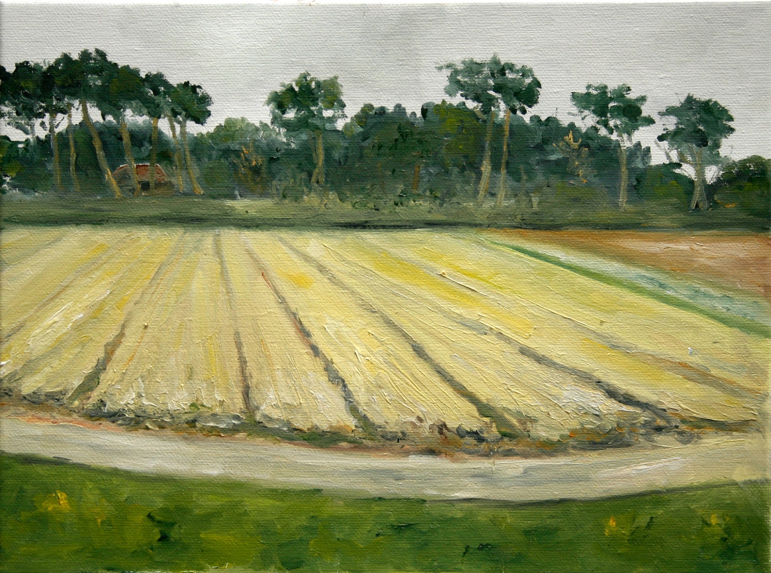 Dutch Landscape Promise of Tulips oil painting original by Nancy van den Boom 30 x 40 cm