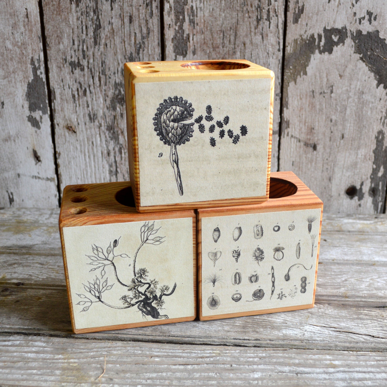Small Botanical Desk Caddy