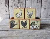 Animal Outsides - 1 Reclaimed Wood Candle Block with decoupage