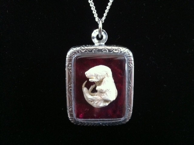 Memento Mori Necklace, Mummified Fetal Mouse Pendant, Mummy Fetus Jewelry