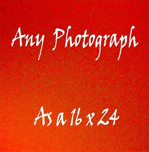 Fine Art Photography - Special Priced Customize Listing - Any Photo as a 16 x 24 - Custom Photo Wall Art - Affordable Home Decor - Gift