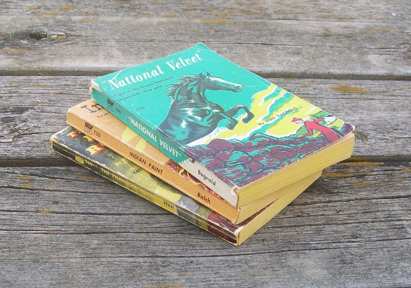 Vintage Three Classic Young Adult Books The phantom roan National velvet Indian paint 1950s Paper Ephemera