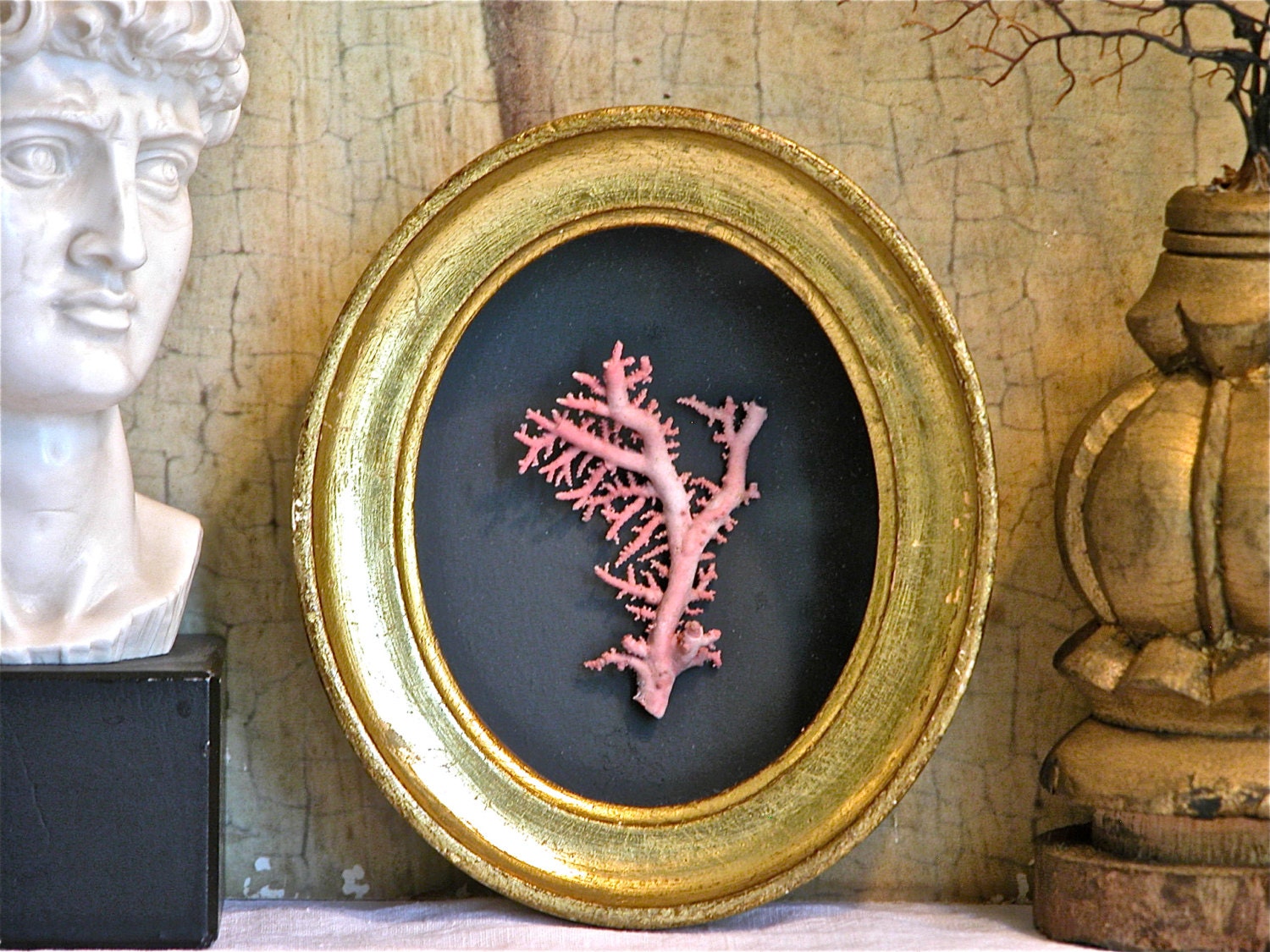 Florentine Pink Coral Display