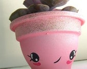 Pink Kawaii Planted with Succulent