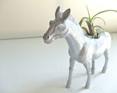 Airplant Planter- Silver Horse