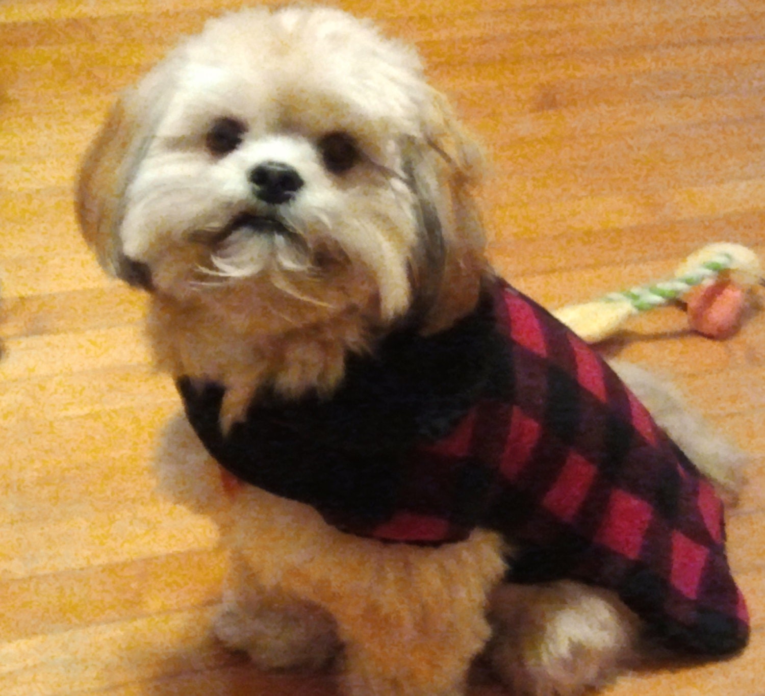 Buffalo Check Fleece Dog Coat