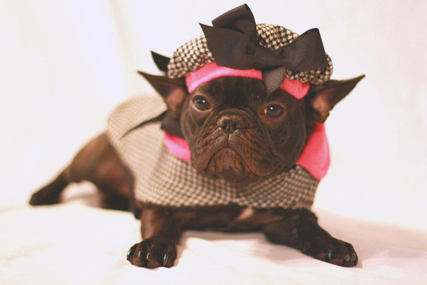 Houndstooth Doggy Beret