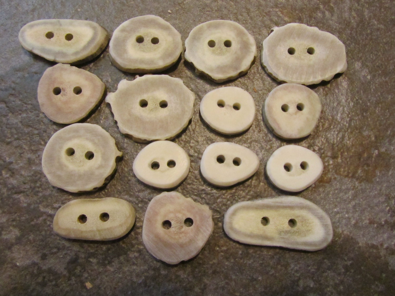 15 Deer Antler Buttons.