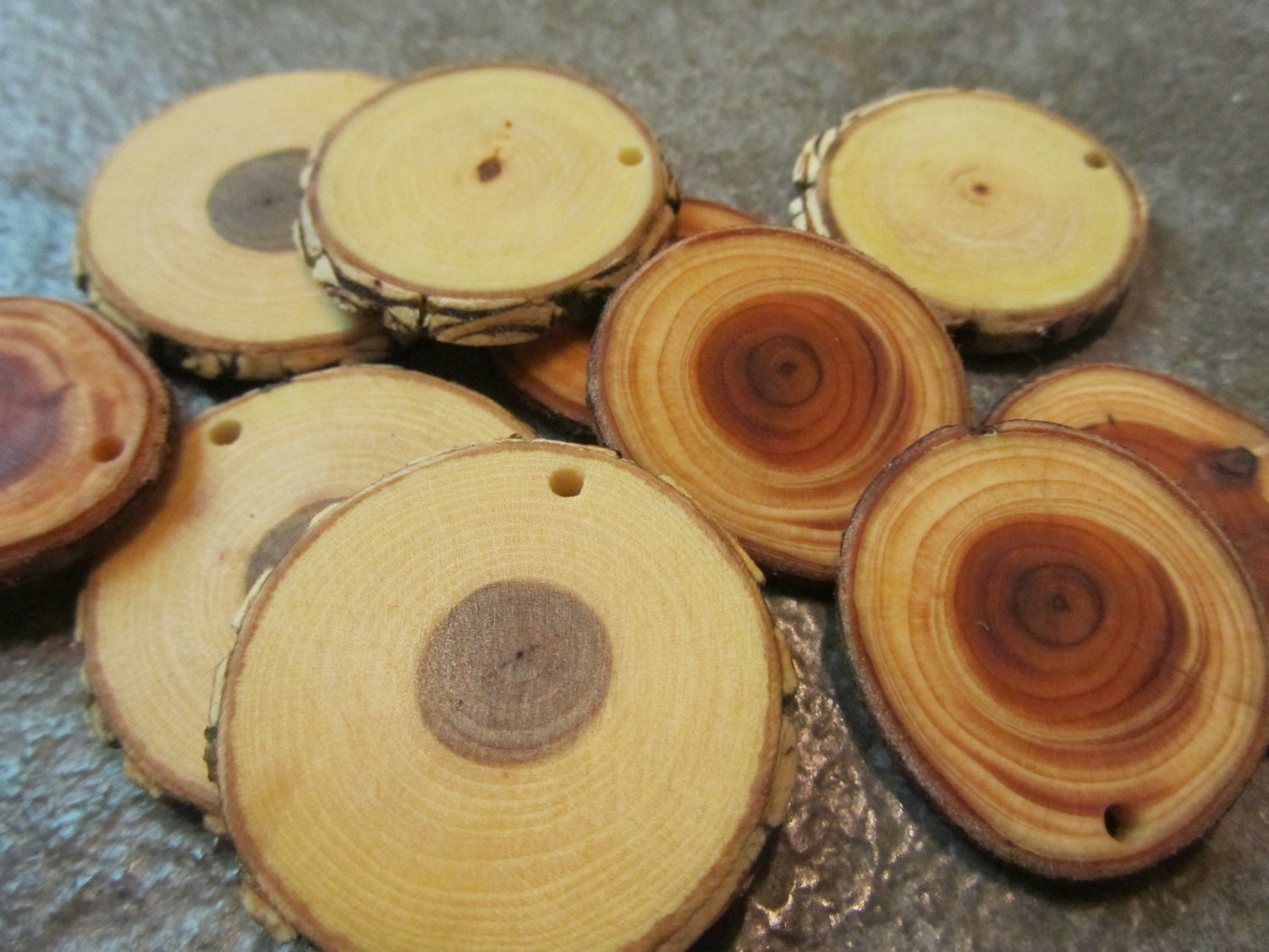 10 Elm And Light Arborvitae Tree Branch Earring Or Pendant Blanks