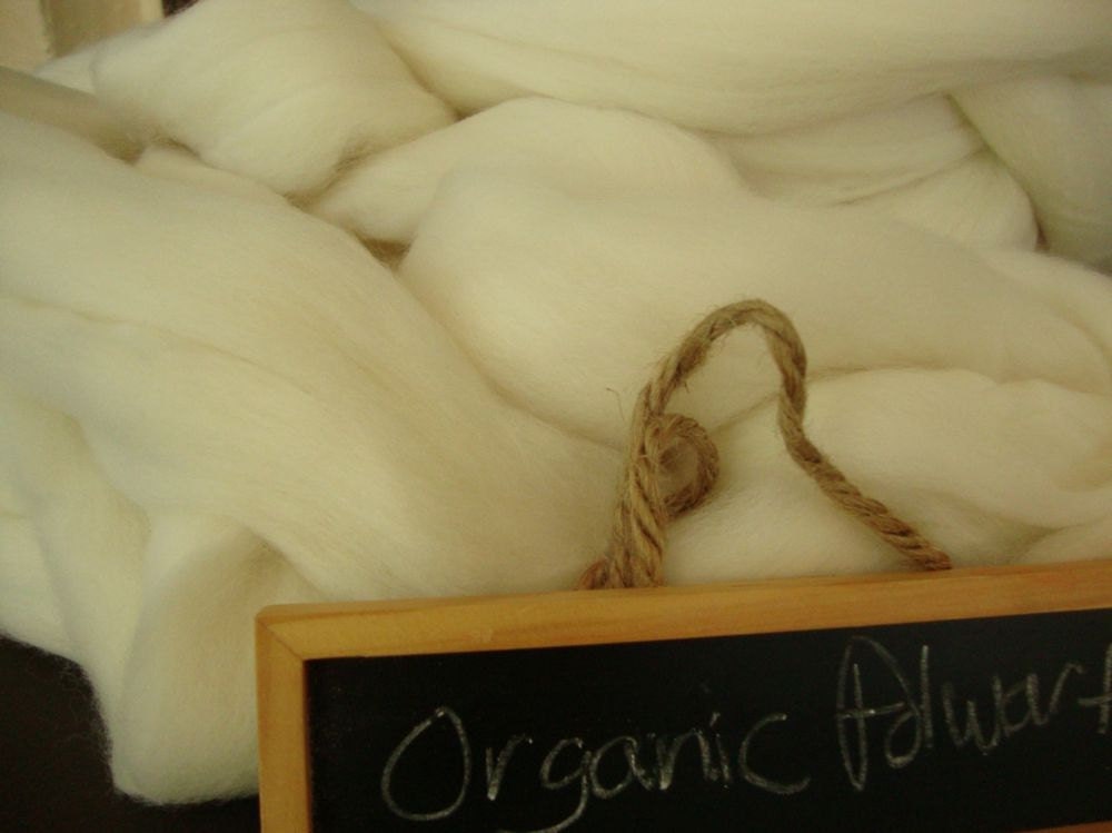 Organic Polwarth, by the ounce, roving, undyed