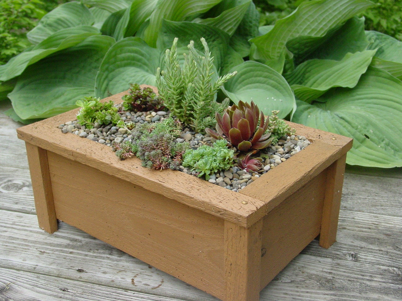 Miniature Garden, Fairy Garden Planter Box for Outdoors or Indoors