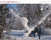 Snow Winter Scene Home Decor Fine Art Photography White Nature Outdoor 5x7