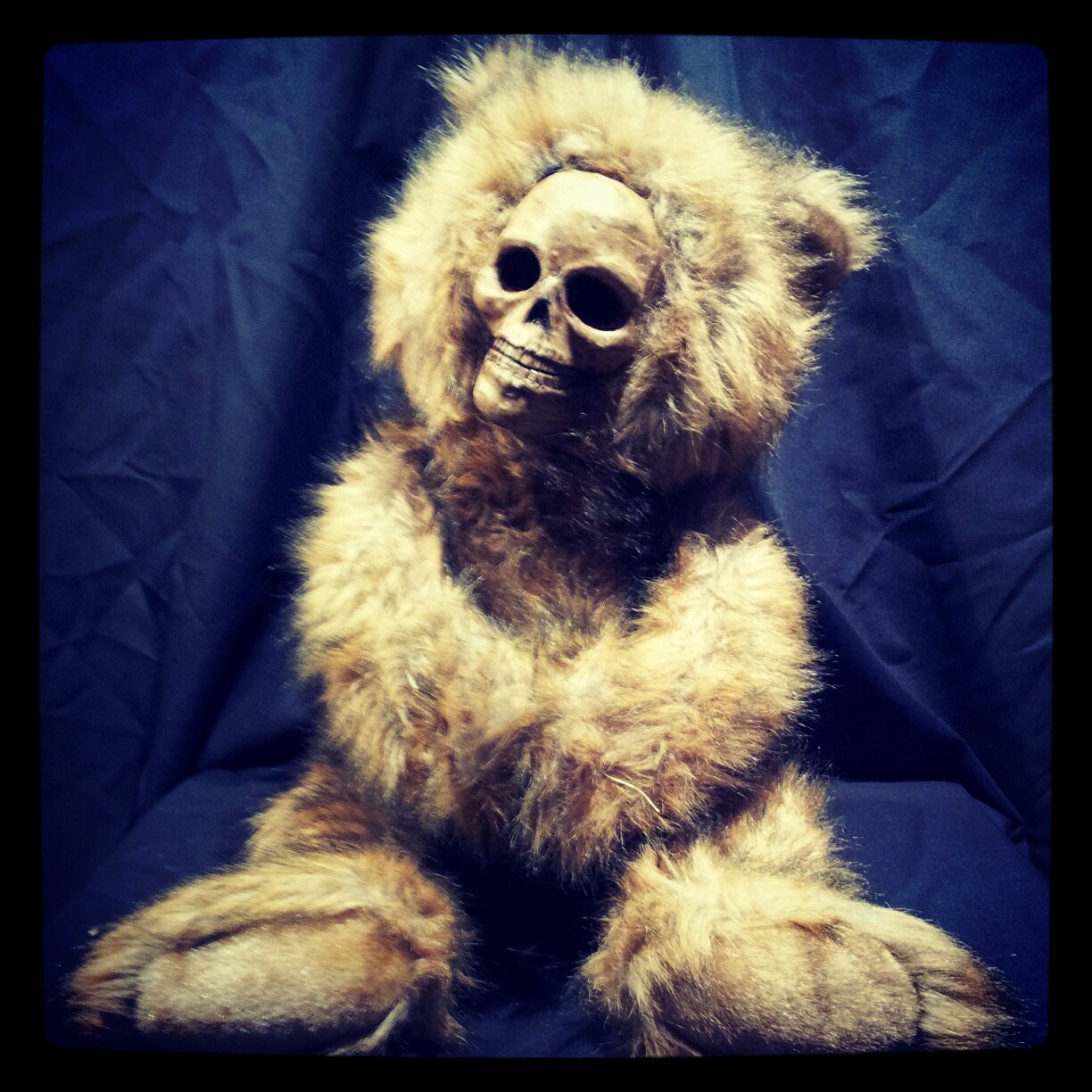 Deaddy Bear