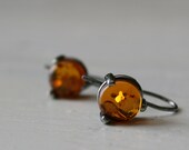 golden honey baltic amber and sterling silver earrings - ready to ship