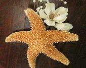 Starfish Boutonniere -Beach Wedding