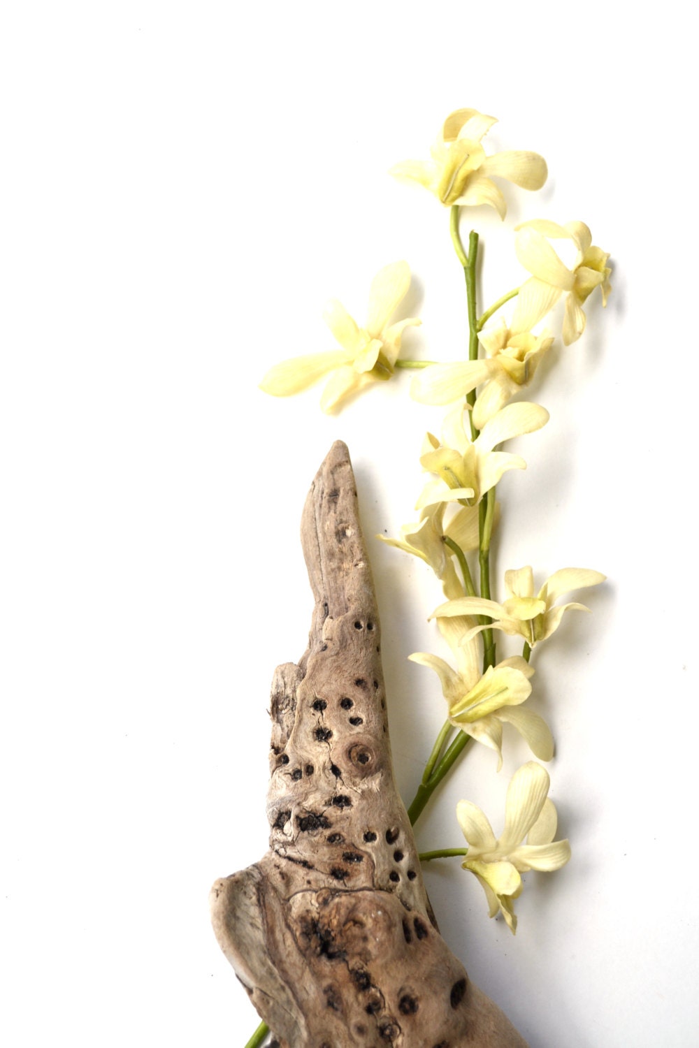 1 Unique Driftwood piece for craft projects, aquarium or home decor