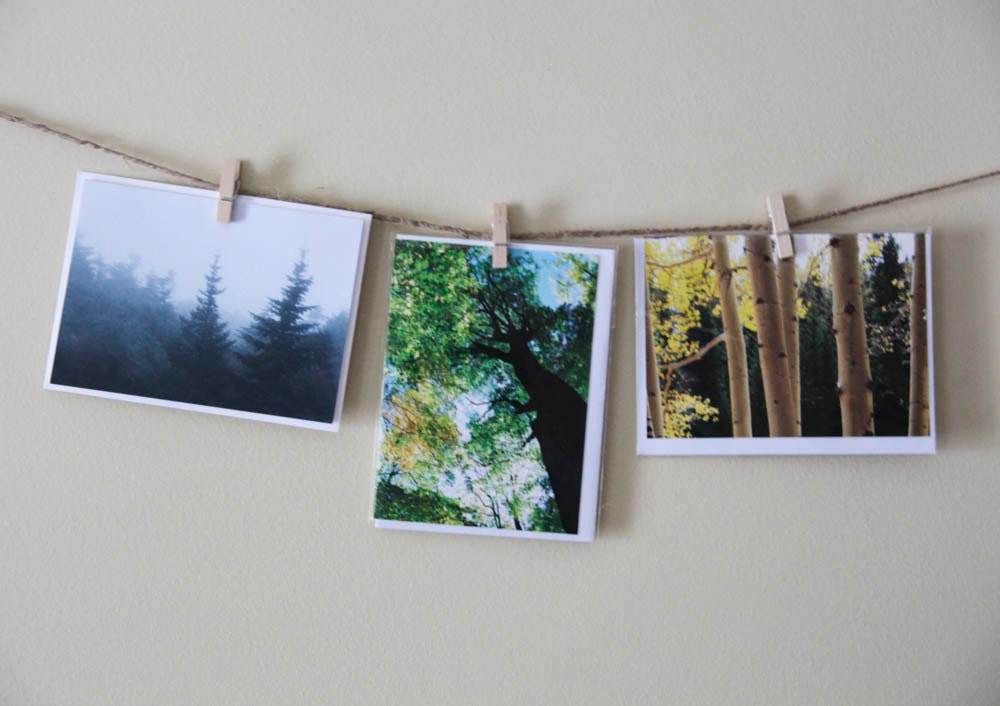 Woodland Landscape - Set of 3 Blank Cards - Tree Scenes -Thank You Cards - Foggy, Fall Leaves, Green Trees - Arbor Day - Forest