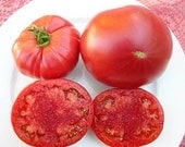 Red Brandywine Heirloom Tomato Seeds