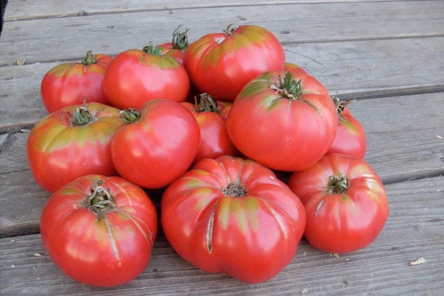Caspian Pink Heirloom Tomato Seeds