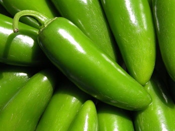 Jalamundo Jalapeno Heirloom Huge Hot Pepper Seeds