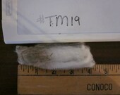 Targhee Merino Raw Unwashed Skirted Wool Fleece TM19