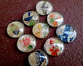 Vintage Floral Magnet Set