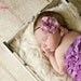 Lavender Purple flower headband, baby headband, infant headbands, newborn headbands