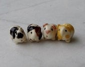 Terrarium Guinea Pig Cavy Handmade Figurine-set of 4