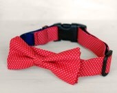 Red Dot Bow Tie Dog Collar