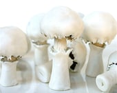 Edible, Chocolate Cluster Candy Mushrooms - 5 pieces