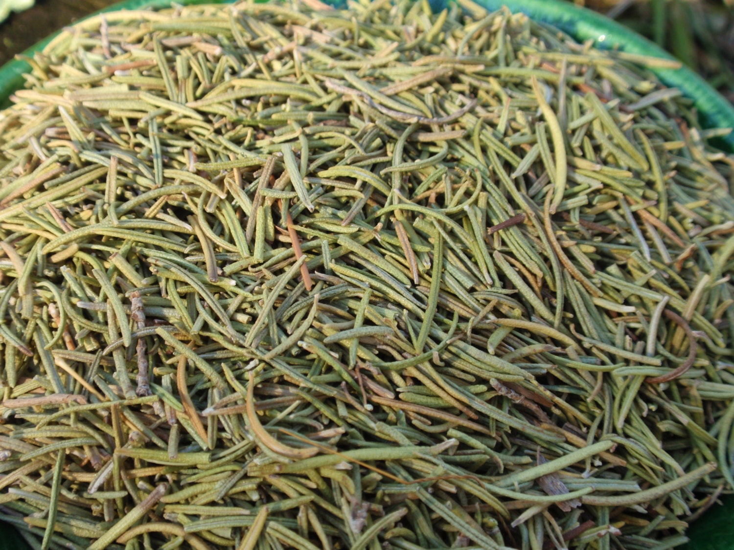 ROSEMARY Certified Organic Culinary Grade - Protection, Mental Powers, Exorcism, Purification, Cookery