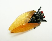 Vintage Celluloid Cicada Bug Brooch Pin Japan Black orange
