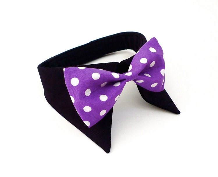 Shirt Collar -Purple Polka dot-