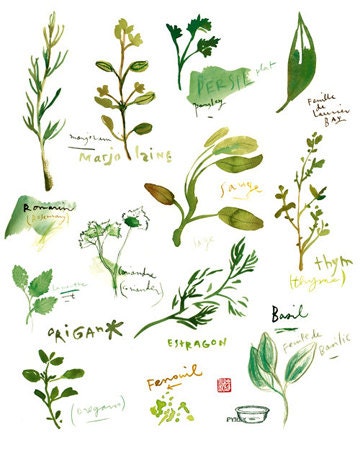 Kitchen art Herb print Food poster Watercolor painting 11X14 green Herbs Kitchen decor