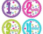 SALE Monthly Baby Onesie Stickers- Polka Dot Fun...Wear with any color onesie...Onesie Stickers
