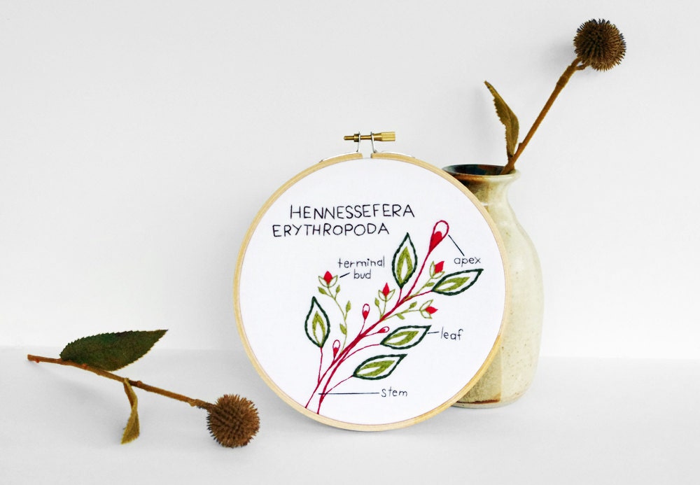 Embroidery Art Botany Study: Hennessefera Erythropoda. Embroidery Hoop Art of Botanical Plant Diagram, Red & Green Leaves in 6" Hoop