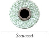 Seaweed Twine Spool - Mint Green & White - 240 yards