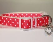 Large 1" Hot Pink Polka Dot Collar