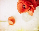 Flower Photography, Still Life Photography, Poppies Print, Spring Flowers, Wild Flowers Print, Spring Decor, Red, 8x10 Art Print - Poppies