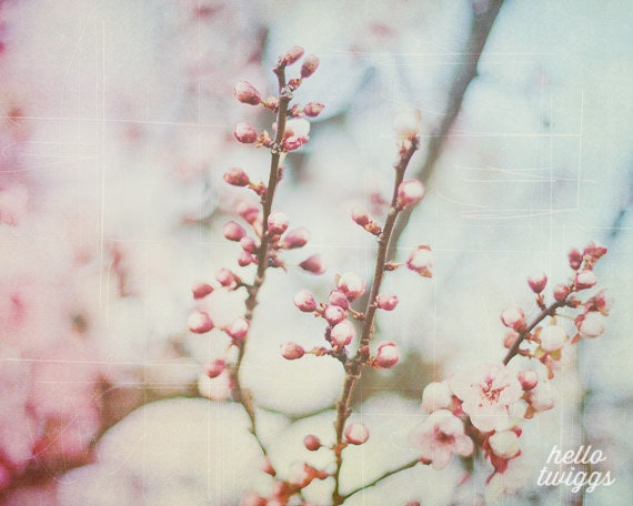 Flower Photography, Nature Photography, Springtime, Girls Room Decor, Dreamy Whimsical - Small & Soft