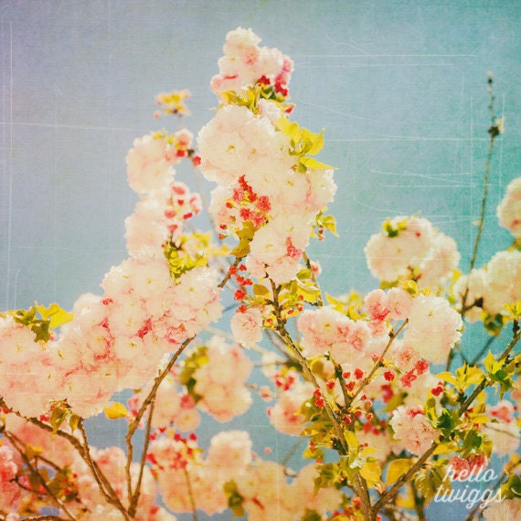 Flower Photography, Nature Photography, Springtime, Girls Room Decor, Retro, Pop Colours, Turquoise, Pink - Miami Summer