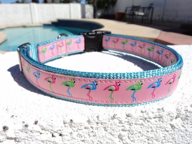 Dog Collar - Colorful Flamingo - Choose Webbing Color img