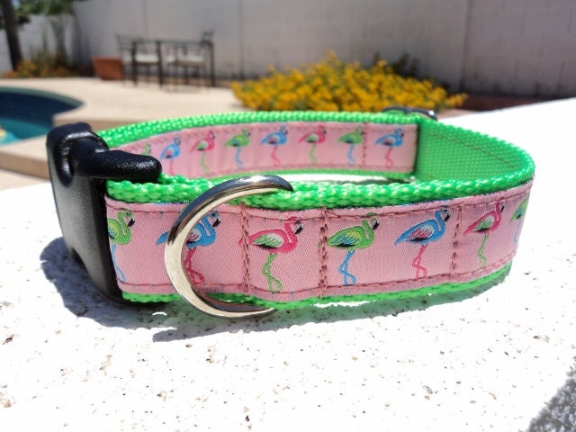 Dog Collar - Colorful Flamingo - Choose Webbing Color img