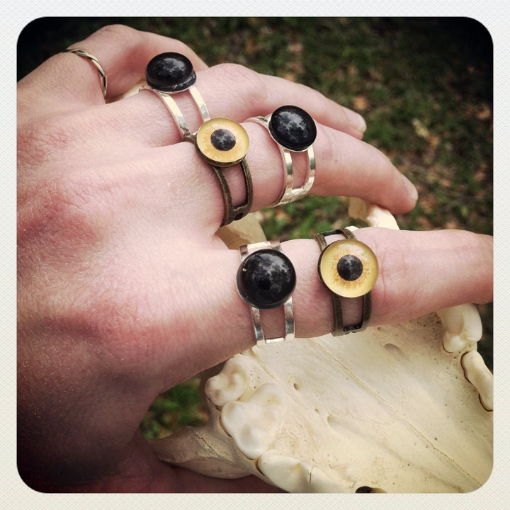 GRAY EYE - Real Vintage Taxidermy Glass Eye on Adjustable Twin Ring Band of Your Choice