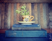 Vintage Italian Pottery Small Petite Tea Cup