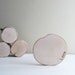 white birch trees love letter