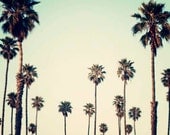Los Angeles Palm Trees, Retro, California Decor, Palm Trees, Landscape Photograph, 12x18 Print, Mint, Yellow, Summertime