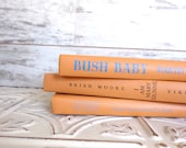 Orange Instant Library Book Collection by Color Vintage Decorative Books Photography Props Orange Books Pumpkin