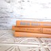 Orange Instant Library Book Collection by Color Vintage Decorative Books Photography Props Orange Books Pumpkin